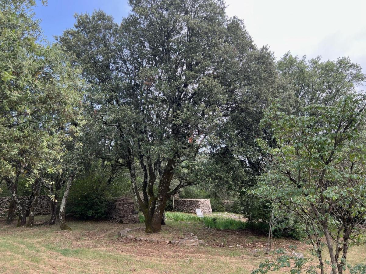 Luxurious Family House With Pool In Ardeche. Villa Les Vans Ngoại thất bức ảnh